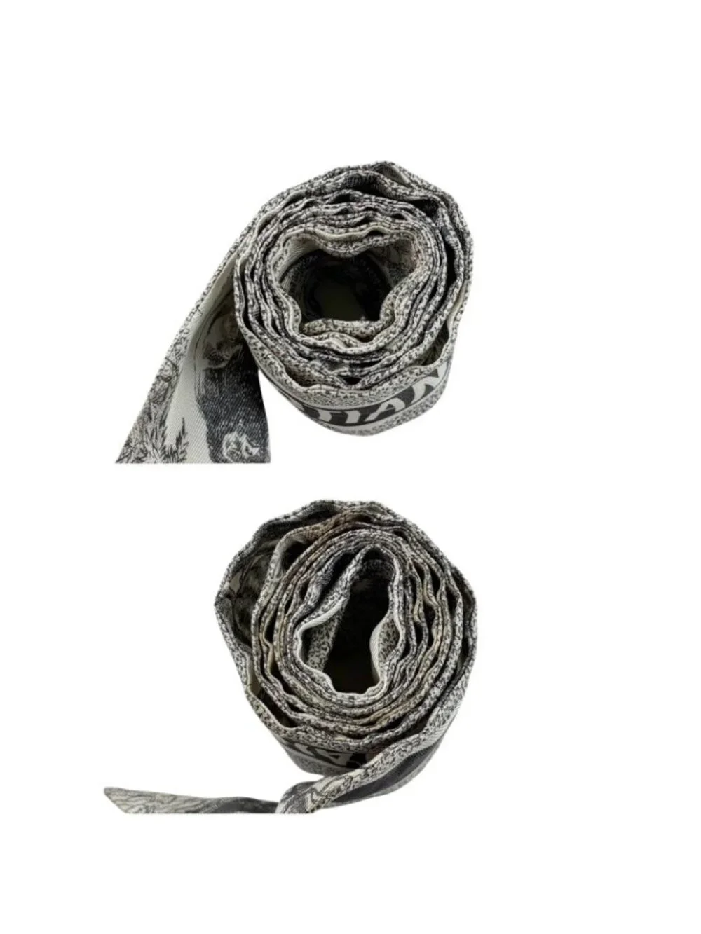 Dior Mizza Toile de Jouy Sauvage Scarf